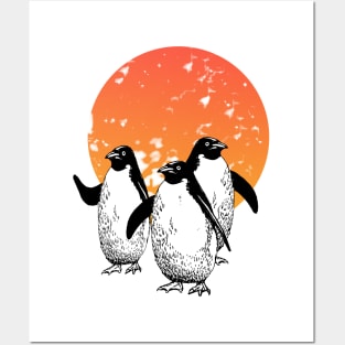 Funny penguins in the sun Posters and Art